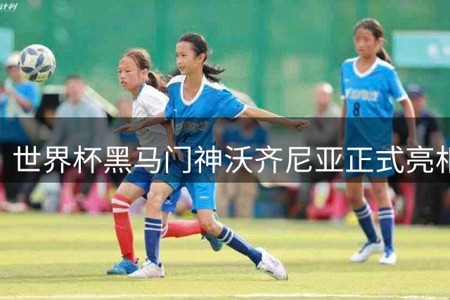 世界杯黑马门神沃齐尼亚正式亮相智利 科洛科洛迎来新守护者
